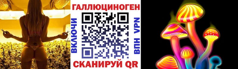 Псилоцибиновые грибы мицелий  купить наркотик  площадка наркотические препараты  Лебедянь 