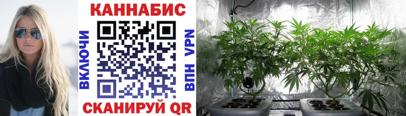 Каннабис планчик Лебедянь